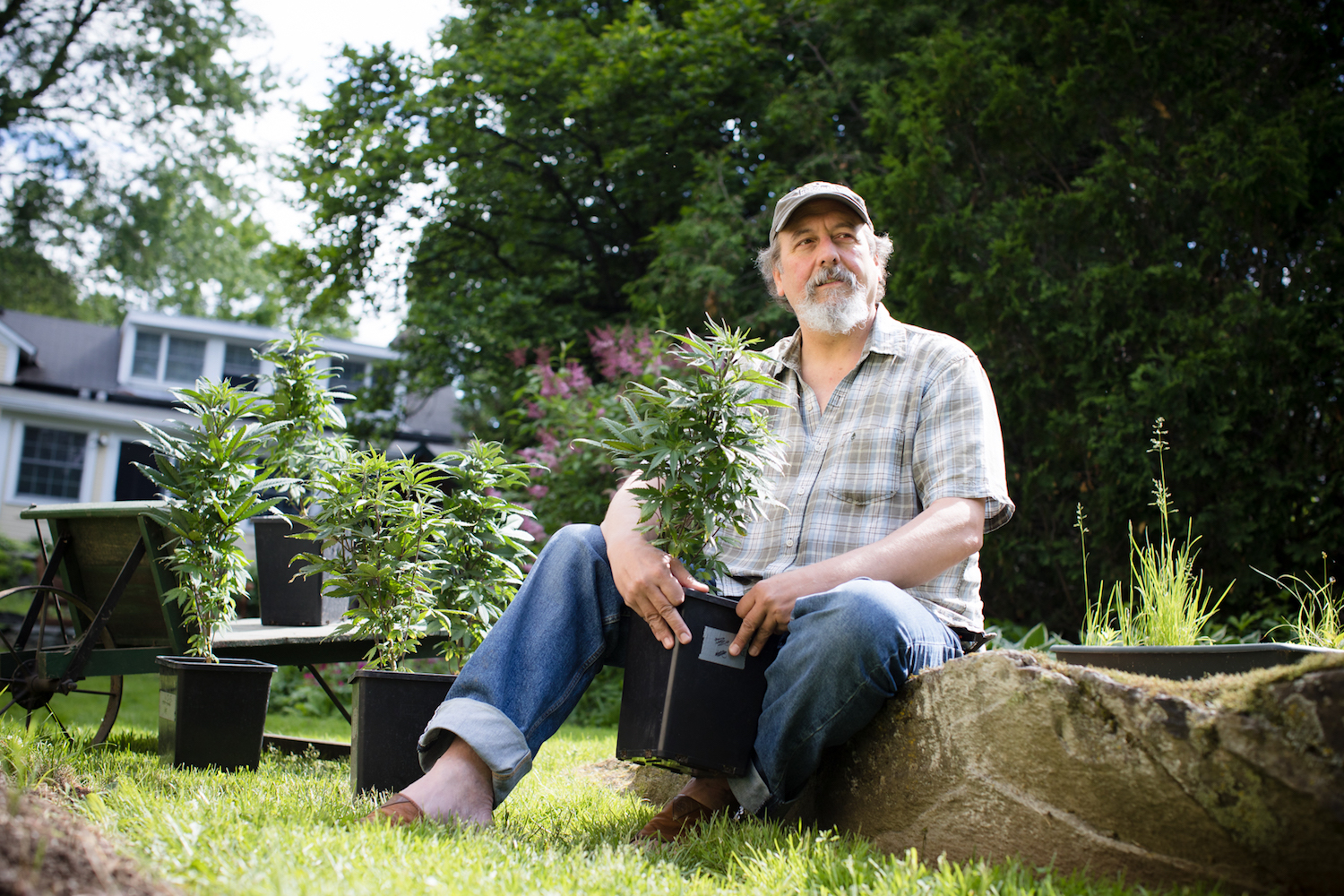Joel Bedard, CEO of Vermont Hemp Company in Jericho Center, Vermont with his hemp plants.