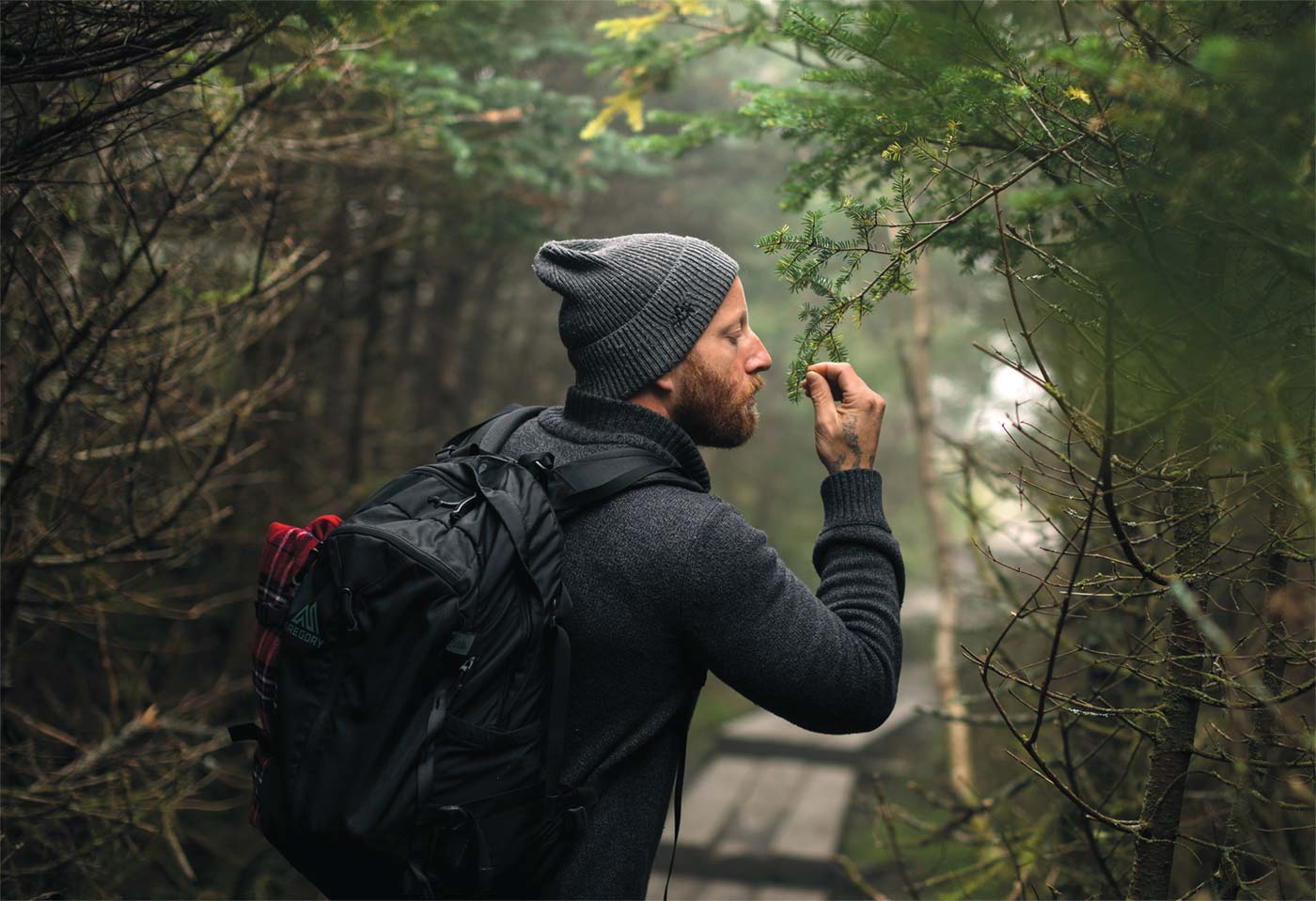 Aaron collecting scent memories and aroma profiles in the Green Mountains of Vermont