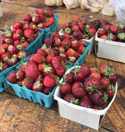 Dutton Berry Farm and Farm Stand pick your own berries in Newfane, Manchester, and Brattleboro, Vermont.