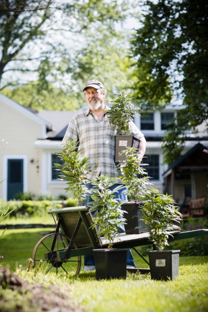 Joel Bedard, CEO of Vermont Hemp Company in Jericho, Center Vermont with his hemp plants.