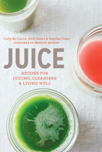 Juice: Recipes for Juicing, Cleansing and Living Well by Carly de Castro, Hedi Gores and Hayden Slater