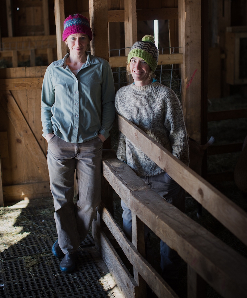 Meet the people and faces behind Sage Farm Goat Dairy in Stowe, Vermont.