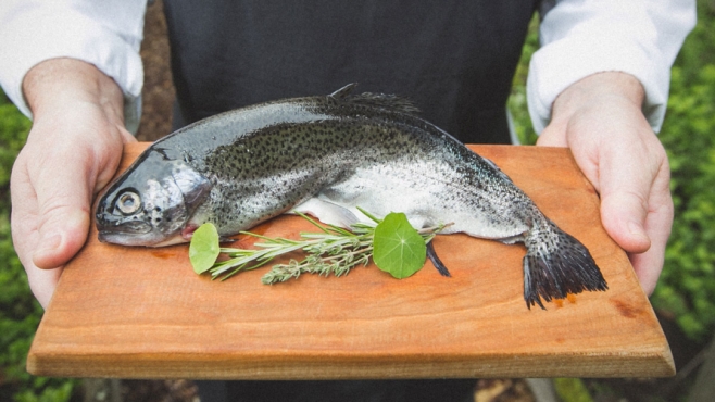 fresh Vermont trout