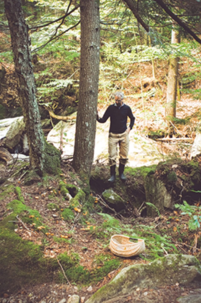 Lesnikoski hunting for wild mushrooms