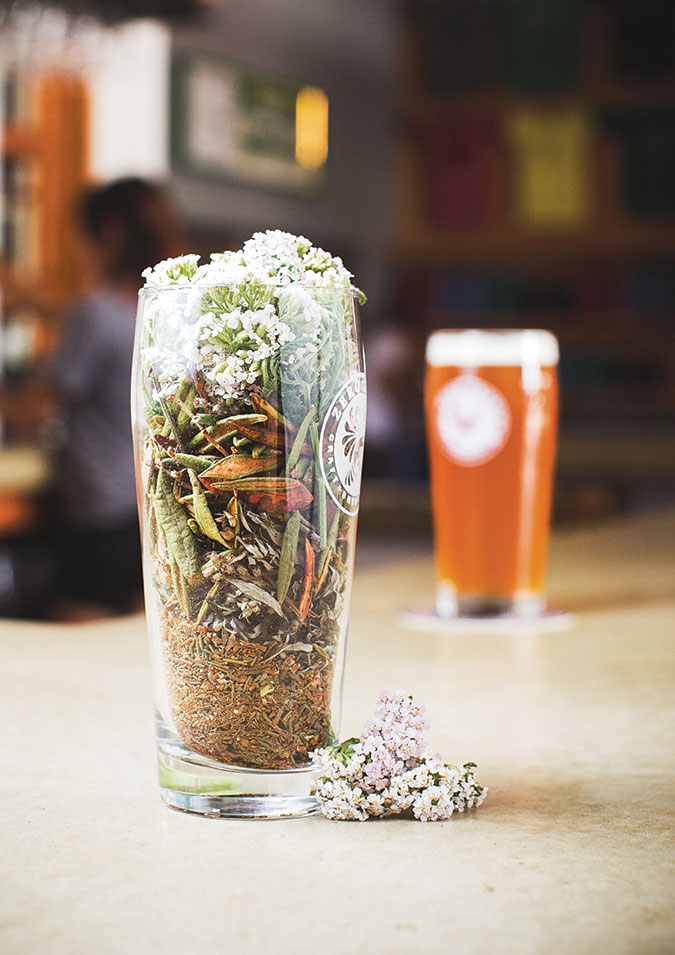 Gruit.jpg