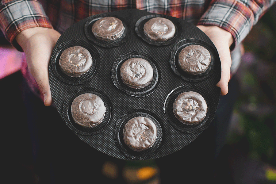 Seedsheet based in Middlebury, Vermont