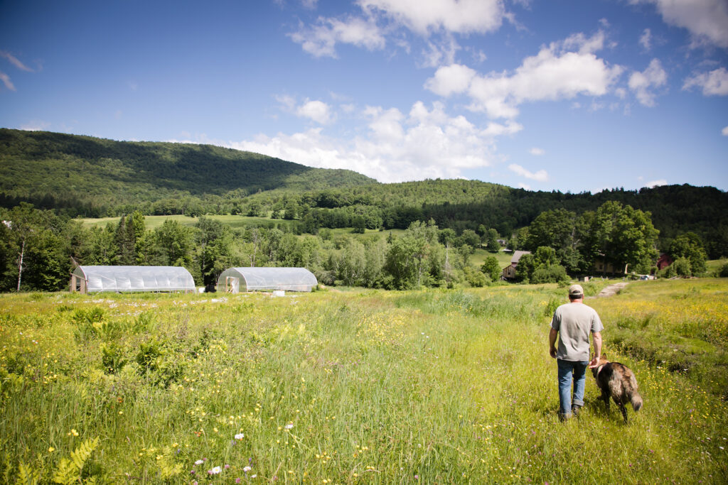 The history of Luce Farm and the hemp behind Luce Farm Wellness.