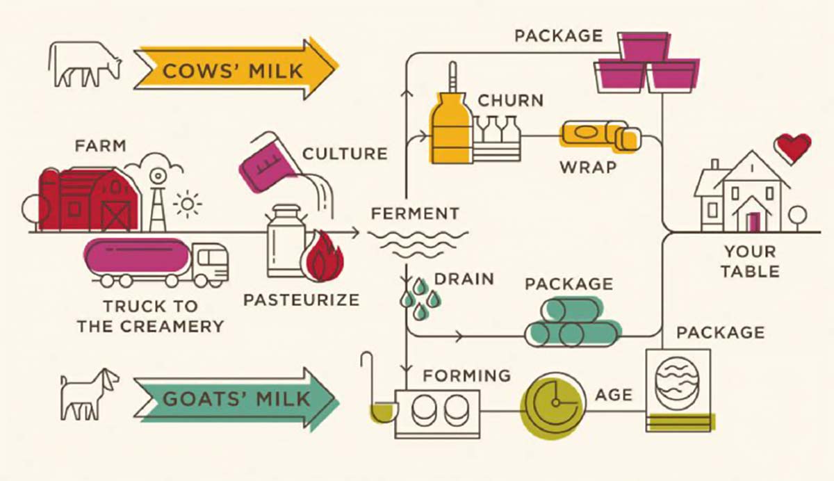 creamery-chart.jpg