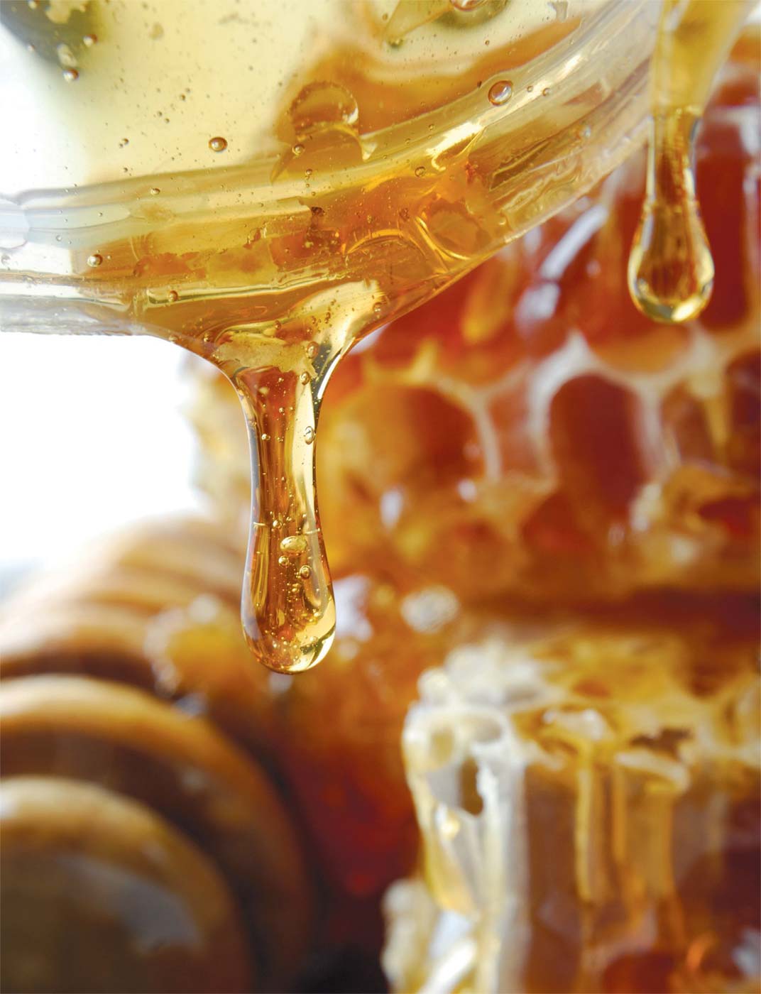 vermont-honey.jpg