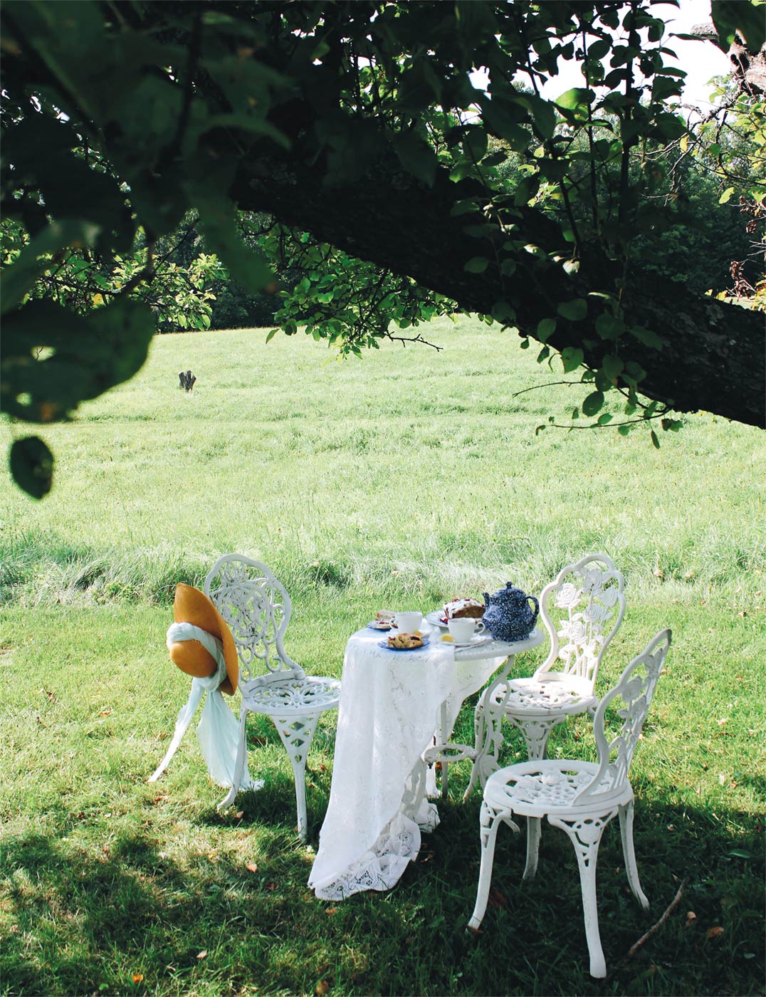 the-art-of-picnics.jpg