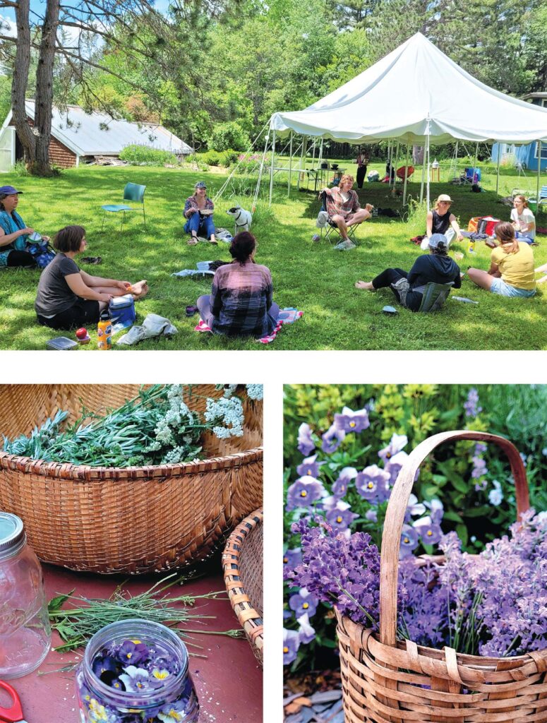 vermont-center-for-herbalism.jpg