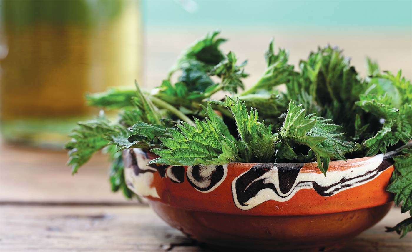 edible-weeds.jpg