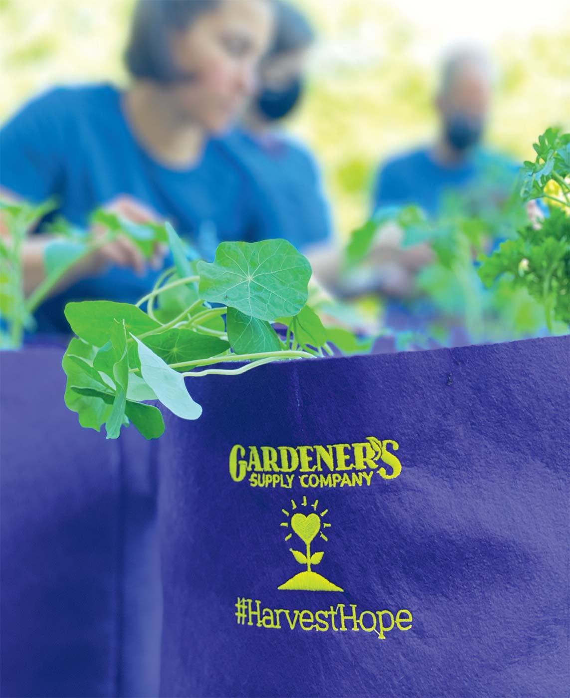 gardners-supply-harvest-hope.jpg