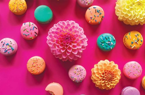 A colorful assortment of French macarons and dahlias